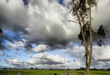 欧博体育：邮报：马雷斯卡告知昆达要继续成长，侧面表明马雷斯卡将长期执教.