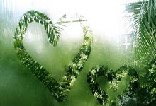 每体：哈维不会执教迈阿密国际 与阿尔巴关系不佳.