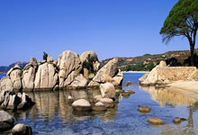 [CBA]季后赛4月21日：浙江VS上海.